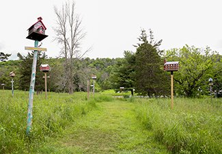 Macaulay Mountain Conservation Area